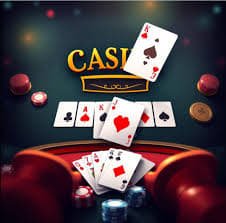 arara bet